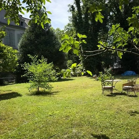 Deluxe Studio, Parking Prive Free, Naturellement Frais, Centre Daire Mulhouse