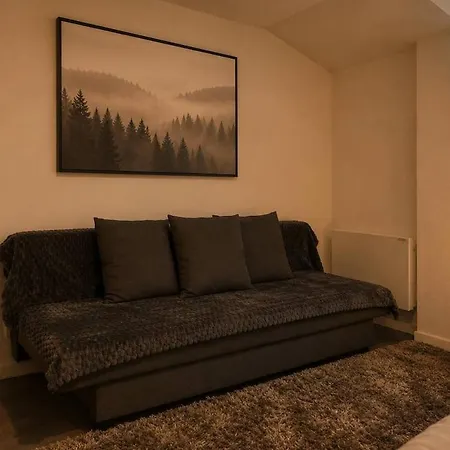 Deluxe Studio, Parking Prive Free, Naturellement Frais, Centre